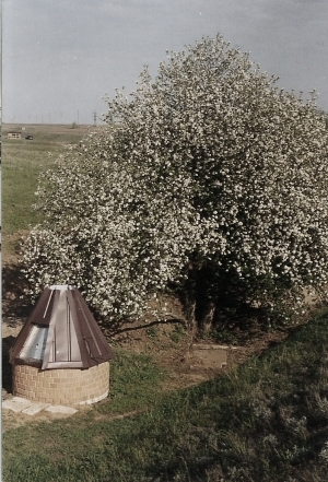 Святой источник Svyatoy_istochnik